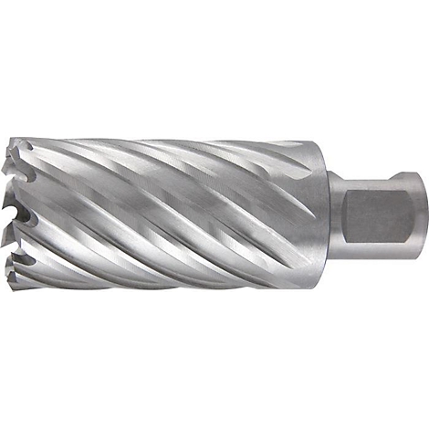 Een metalen gatzagenboor. Het heeft een gegroefde snijkant die naar een zeskantige aansluiting leidt.