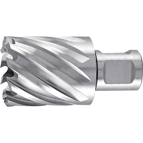 Metalen boor met getande randen en spiraalvormige groeven. De boor is zilverkleurig en gedetailleerd.