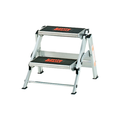 A silver step ladder with two steps. "Little Giant" is written in red on each step.