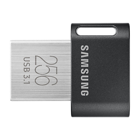 Une clé USB argentée avec l'inscription 256 Go, USB 3.1. La partie noire affiche la marque SAMSUNG.