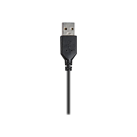 Gros plan sur un câble USB avec connecteur métallique et câble noir, sur fond blanc.