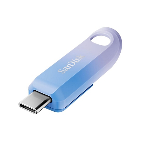 Blau-violetter USB-Stick mit dem Schriftzug 'SanDisk' auf weißem Hintergrund. Mit USB-C-Anschluss.