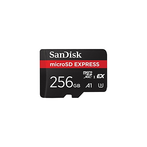 Carte microSD noire avec ligne rouge, 'SanDisk microSD EXPRESS 256 Go'.