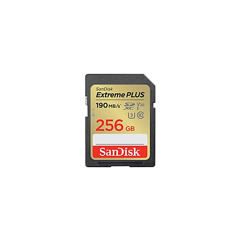 Eine schwarze SD-Karte mit goldfarbener Oberfläche, darauf stehen die Logos und Beschriftungen von SanDisk Extreme PLUS, 256 GB.
