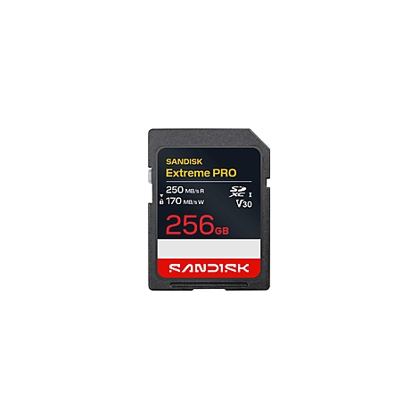Schwarze Sandisk Extreme Pro SD-Karte. Beschriftung: 256 GB, 250 MB/s R, 170 MB/s W. Sandisk Logo.