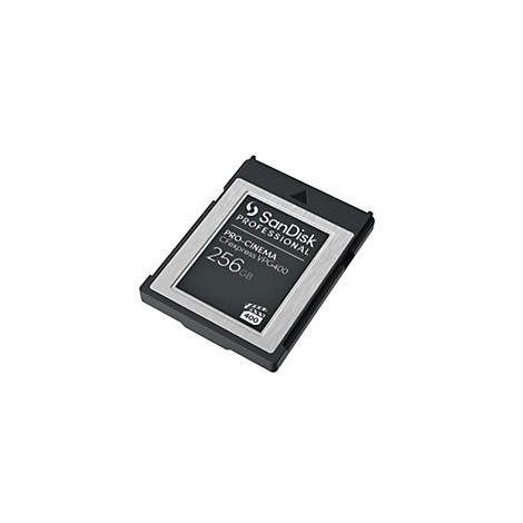 SanDisk Pro-Cinema CFexpress Speicherkarte. 256 GB. Schwarzes Gehäuse mit silberner Platte und Aufschrift.