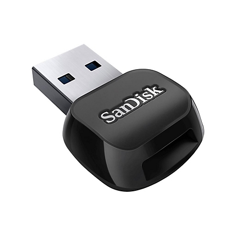 Clé USB noire avec logo SanDisk, connecteur USB argenté, fond blanc.