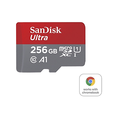 Carte SD SanDisk, rouge-gris, 256 Go, "Works with Chromebook".