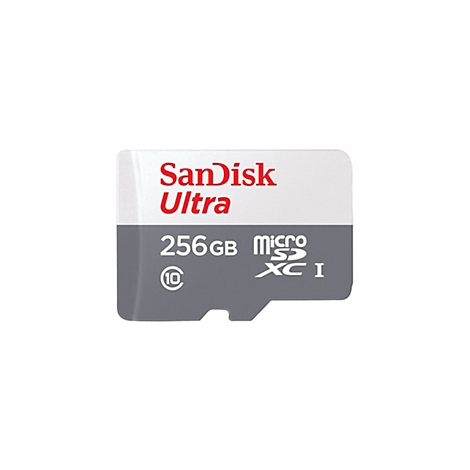 SD-Karte von SanDisk, rot-weiß-grau, 256 GB.
