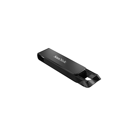 Schwarzer SanDisk USB-Stick auf weißem Hintergrund, mit SanDisk-Schriftzug.