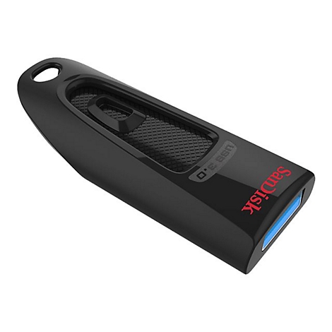 Schwarzer USB-Stick mit rotem 'SanDisk'-Schriftzug und blauem Anschluss.