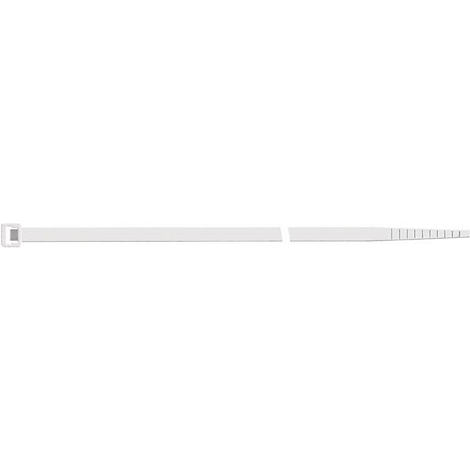Un objet blanc, allongé, avec une pointe striée et une zone sombre et étroite à l'extrémité.