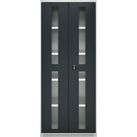 Two-part cabinet door with glass panes and white shelves. A black frame encloses the door with handle.
