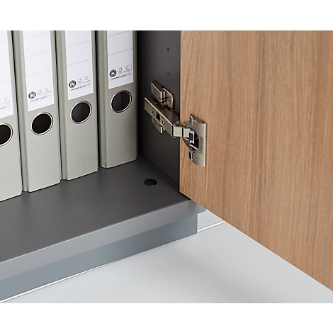 Close-up of an open cabinet compartment with folders. Cabinet door with metal hinge and wood grain.