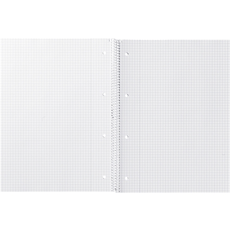 Cahier quadrillé ouvert avec reliure à spirale. Les lignes et les trous sont clairement visibles.