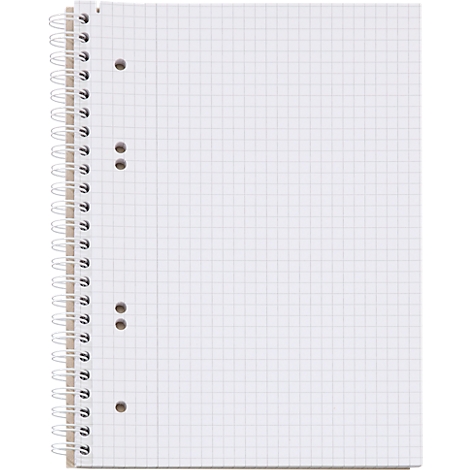 Un bloc-notes quadrillé avec une reliure à spirale. La page est quadrillée et comporte des trous pour le classement.