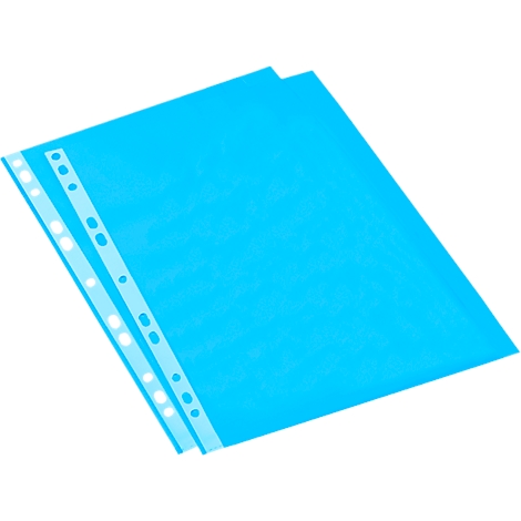Two blue, transparent document sleeves with a perforated edge, slightly overlapping, on a white background.