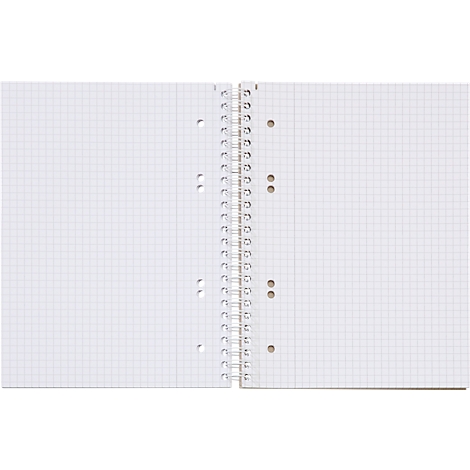 Ein offenes kariertes Notizbuch mit Spiralbindung. Die Seiten sind leer und weiß. Die Bindung ist aus Metall.