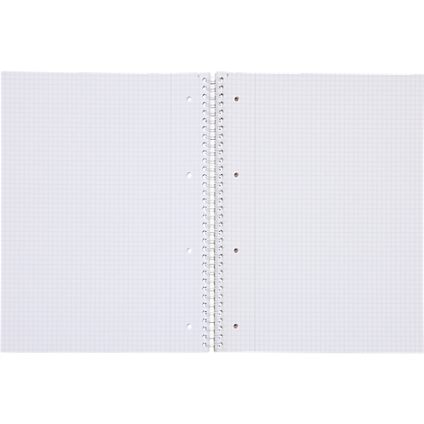 Een open geruit notitieboek, gebonden met een zilveren spiraal.