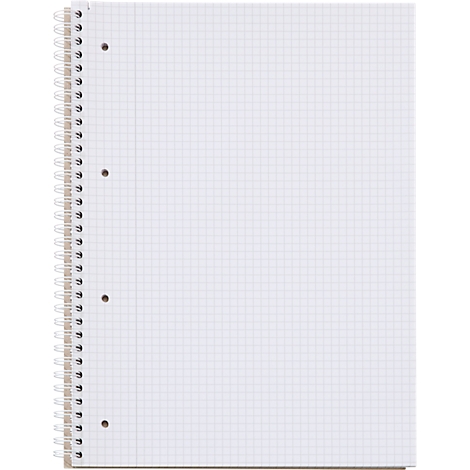 Cuaderno con páginas cuadriculadas, espiral metálica y perforación para archivar.