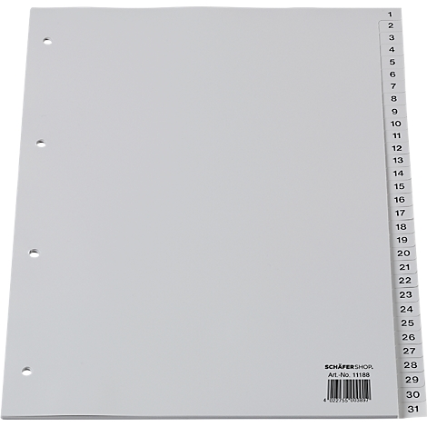 Light gray divider with 31 sections, pre-drilled for filing.