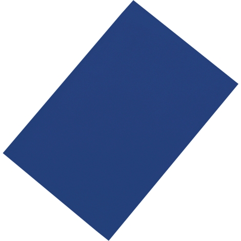 An angled, rectangular blue field on a white background.