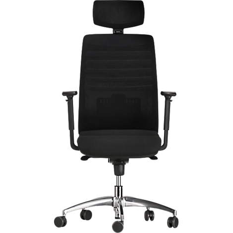 Black office chair with adjustable headrest, armrests and wheels. The frame is silver.