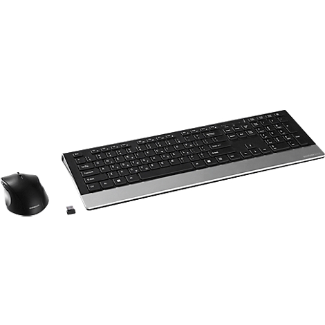 Wireless black and silver keyboard and mouse set. The keyboard has a sleek design, the mouse is ergonomic.