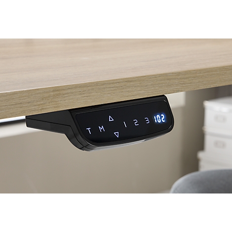 Schreibtisch - Rechteck - elektrisch höhenverstellbar - T-Fuß - B 1600 x T 800 x H 620-1280mm - inkl. Memory Master + Tischtrennwand - Eiche-Dekor/silber