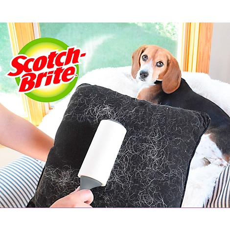 Un chien est assis sur un canapé tandis qu'une personne nettoie un oreiller des poils d'animaux avec un rouleau anti-peluches.