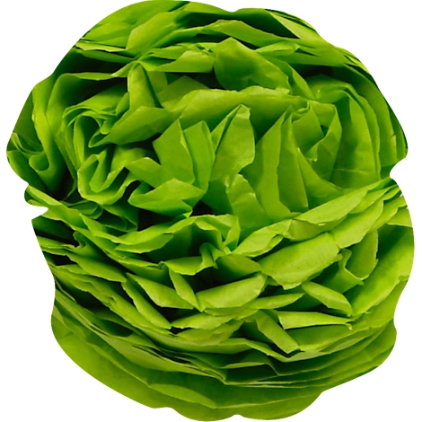 Ein Salatkopf mit hellgrünen, sich überlappenden Blättern.