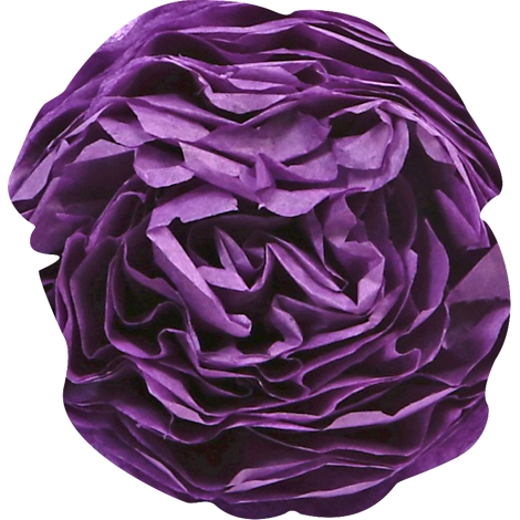 Eine Nahaufnahme einer lilafarbenen Rose mit vielen gefalteten Blütenblättern.