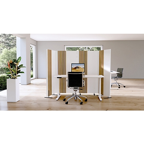 Bureau avec bureau, cloison et plante. Un écran est sur le bureau. Un autre poste de travail est en arrière-plan.