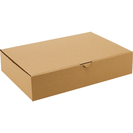 Flacher, brauner Pappkarton aus Wellpappe, perspektivisch von schräg oben vor weißem Hintergrund dargestellt.