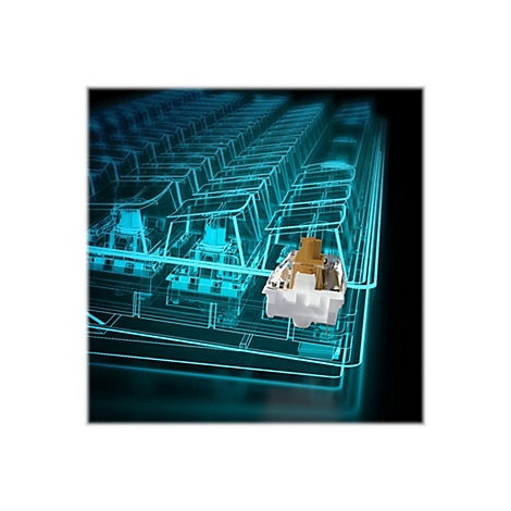 Ein Tastatur-Switch hervorgehoben vor einem blau leuchtenden Drahtgittermodell einer mechanischen Tastatur.