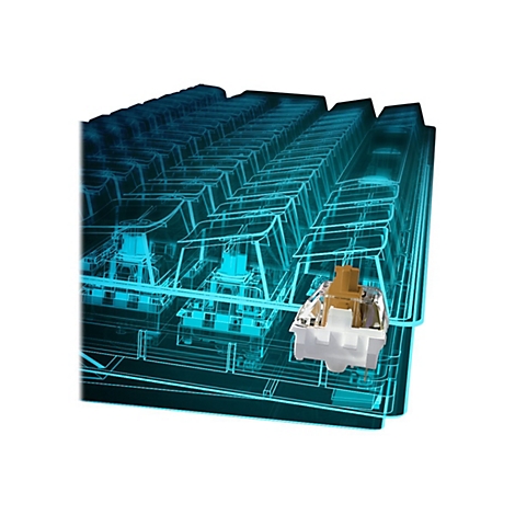 Ein detaillierter, brauner Tastaturschalter vor einer blau leuchtenden, schematischen Darstellung einer Tastatur.