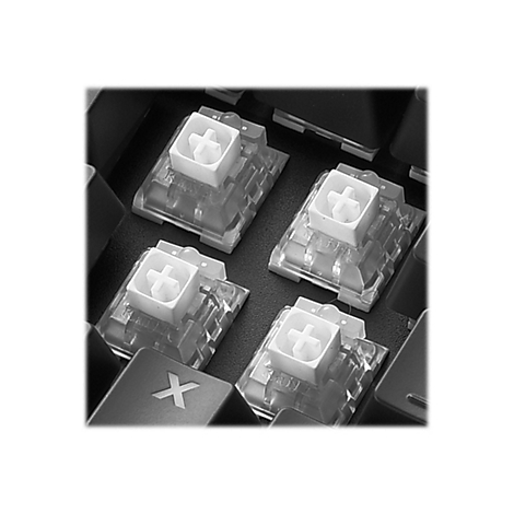Nahaufnahme von vier mechanischen Tastenschaltern mit weißen Kreuz-Form-Einsätzen und transparenten Gehäusen, eingebettet in eine Tastatur.