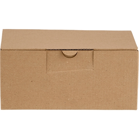 Brown cardboard box. The lid is slightly open, showing a semi-circular cutout.