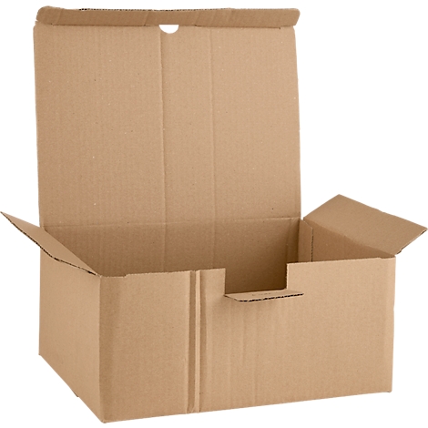 Open brown cardboard box against a white background.