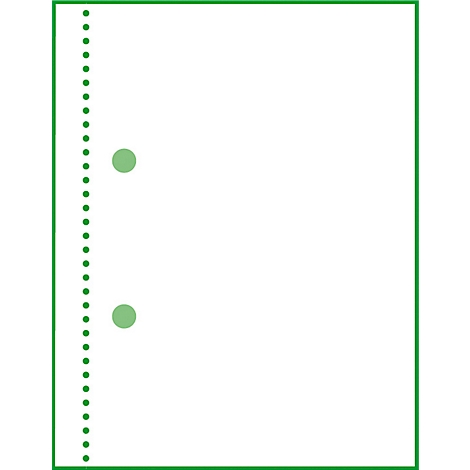 A white sheet of paper with a green border and a perforated edge, two green circles.
