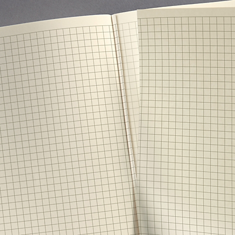 View of an open book with squared pages. The pages are beige with a fine gray grid.