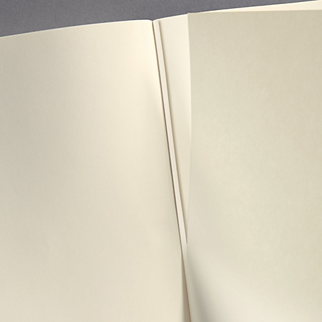 Close-up of an open book, cream-colored pages, a subtle shadow.