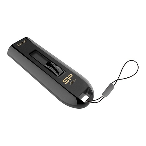 Schwarzer USB-Stick mit Aufschrift 256GB und USB 3.1, mit Band. Auf weiÃŸem Hintergrund.