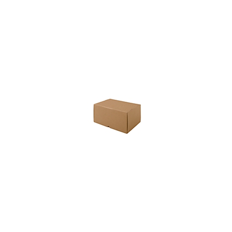 Cardboard packaging in light brown against a white background.