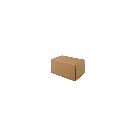 A rectangular, brown cardboard box on a white background.