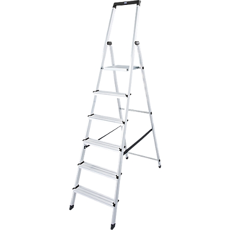 A silver stepladder, seven steps, black handle.