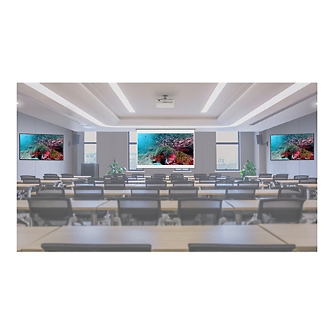 Ein Klassenzimmer mit Meerestieren, die auf Bildschirmen und einer Leinwand angezeigt werden.