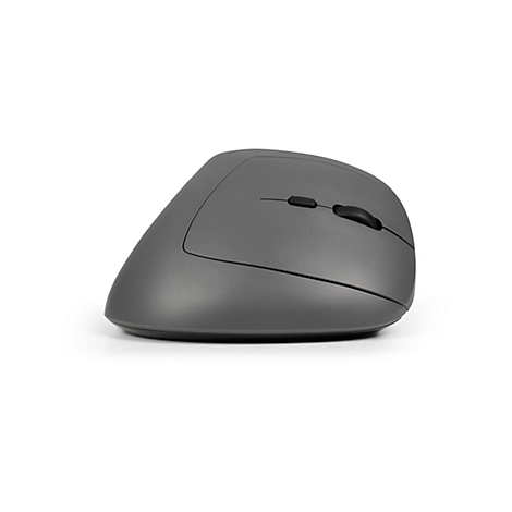 Souris ergonomique grise, avec deux boutons et une molette de défilement. Elle est posée sur un fond blanc.