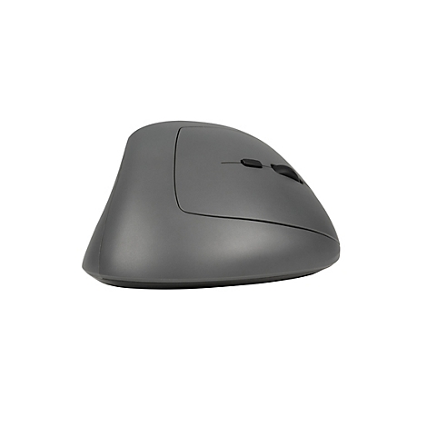 Souris ergonomique grise, alignement vertical. Avec deux boutons et une molette. Pour les droitiers.