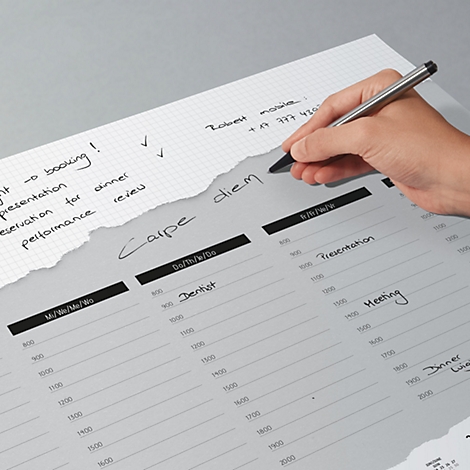 Une main avec un stylo décrit un agenda hebdomadaire gris perforé. L'agenda est couvert de notes manuscrites, telles que "Carpe diem".